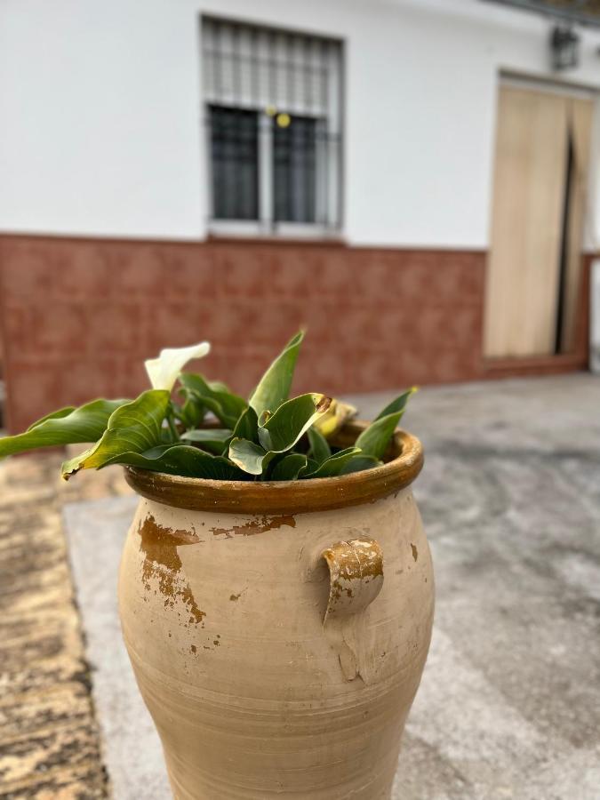 Agua De Verano San Bartolomé de la Torre Esterno foto